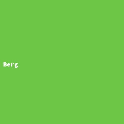 Hersteller: Berg