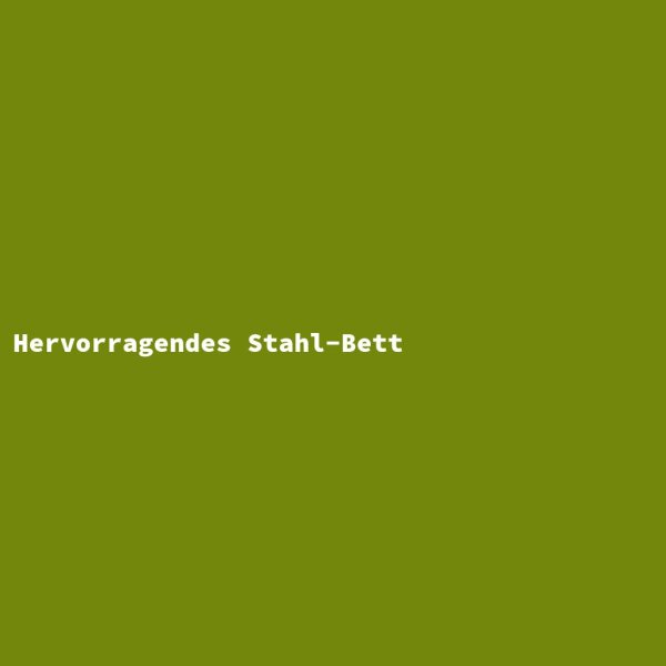 Hervorragendes Stahl-Bett